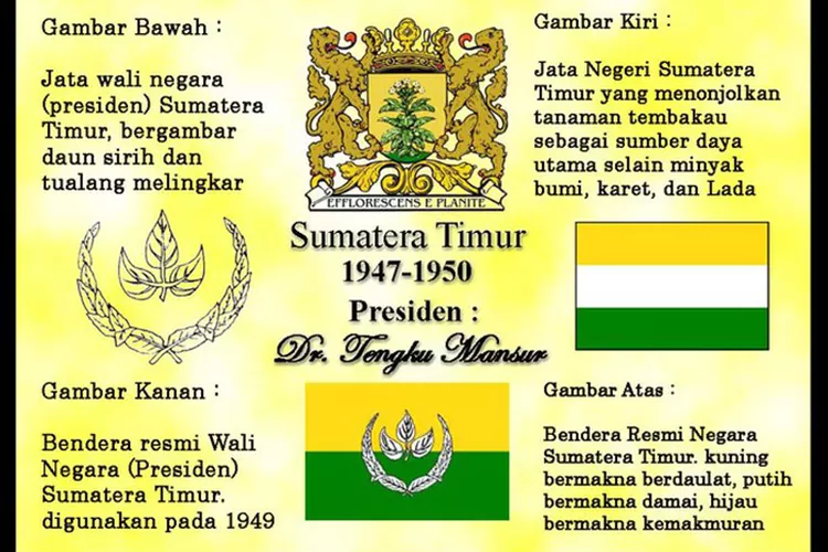 Sumatera Timur, adalah Daerah Istimewa (DI) yang terbentuk pada 8 Oktober 1947 lalu kemudian pada 25 Desember 1947 Daerah Istimewa Sumatera Timur diiktiraf pula menjadi Negara Sumatera Timur oleh Belanda dan Republik Indonesia Serikat (RIS) dengan Dr. Tengku Mansyur (seorang kerabat dari Kesultanan 