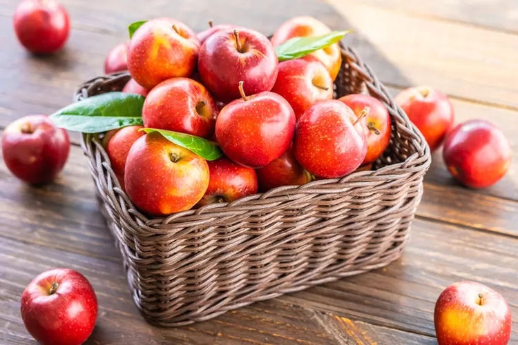 Ada 10 manfaat mengkonsumsi apel. Foto: Freepik