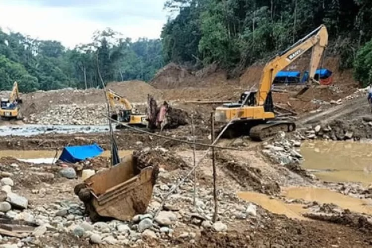 Penambangan emas ilegal di Pasaman Barat, Sumatera Barat, terus terjadi. Belum lama ini, petugas mengamankan tujuh penambang emas di perkebunan warga di Jorong Kampung Baru, Nagari Batahan Barat, Kecamatan Ranah Batahan, Pasaman Barat.