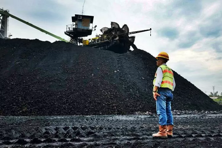 Cadangan batu bara di Kalimantan Timur setara dengan 41,42?ri totalnya di Indonesia. Tercatat, cadangan batu bara Indonesia sebesar 38,8 miliar ton pada 2020.