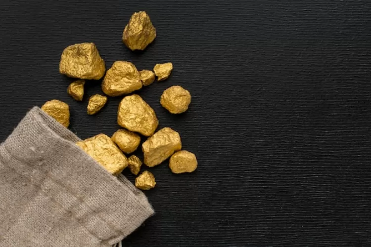 Penambangan bijih emas ilegal oleh WNA China di Kalimantan Barat (freepik)