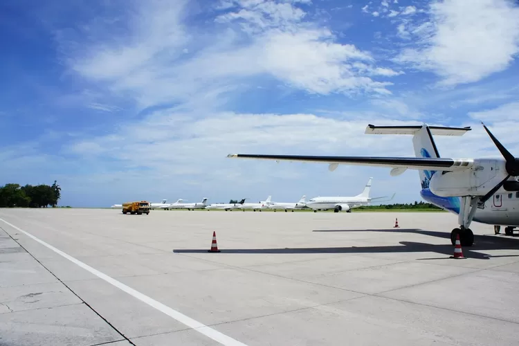 Bandar Udara H.A.S. Hanandjoeddin (bahasa Inggris: H.A.S. Hanandjoeddin Airport) atau sebelumnya dikenal juga dengan nama Bandar Udara Buluh Tumbang (IATA: TJQ, ICAO: WIKT, sebelumnya WIKD dan WIOD) adalah sebuah Bandar udara yang terletak di Tanjung Pandan, Kabupaten Belitung, Kepulauan Bangka Beli