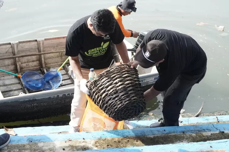 Hari Lingkungan Hidup Sedunia 2024, Ratusan Volunteer PLN Gelar Aksi Bersih Pantai Cimpago Padang (Humas PLN )