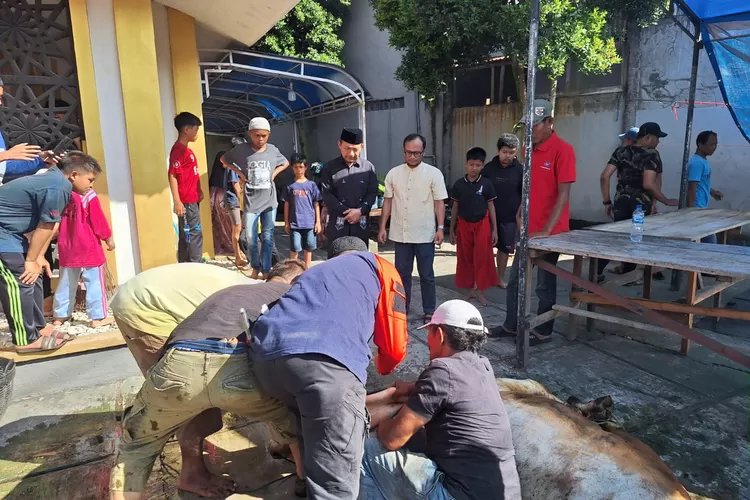 Hari Ketiga Idul Adha, Penyembelihan Hewan Kurban Masih Berlangsung di Kota Padang Panjang (IST)