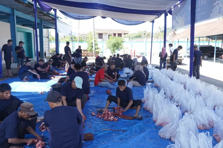 Rayakan Idul Adha, PLN Distribusikan 36 Hewan Kurban untuk Masyarakat Sumbar (Humas PLN )