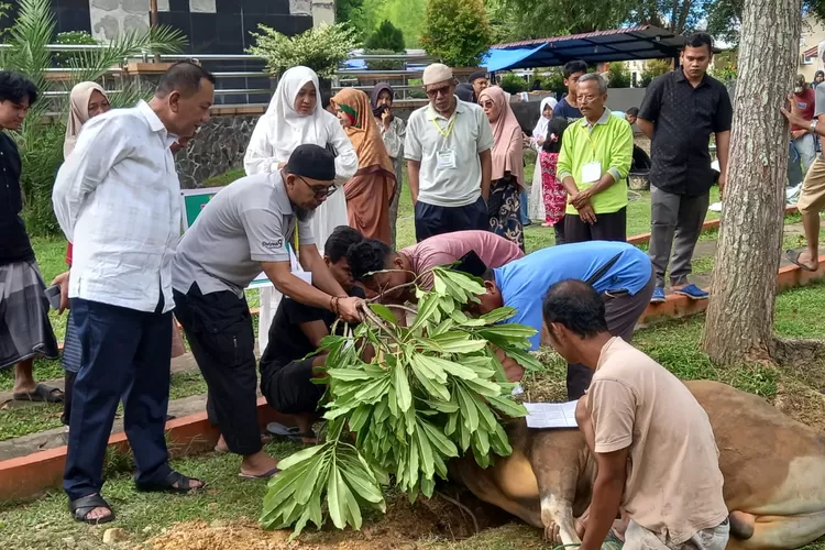 Bupati Pesisir Selatan Rusma Yul Anwar Laksanakan Kurban di Masjid Akbar Baiturrahman Painan (Kominfo Pesisir Selatan)
