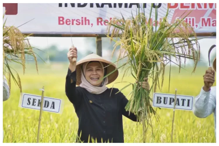 Indramayu Jadi Pilot Project Pertanian Organik di Indonesia.