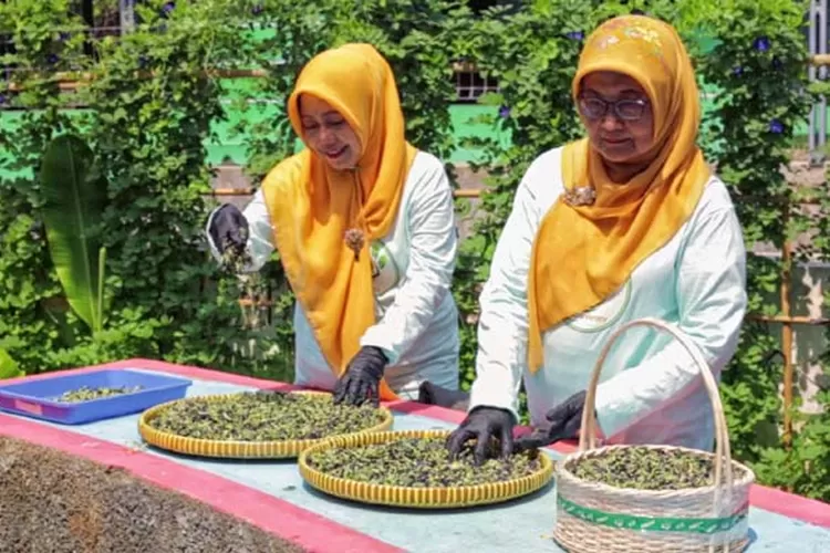 BRI melalui Corporate Social Responsibility (CSR) atau BRI Peduli, melalui BRI Bertani di Kota (BRInita), masyarakat di daerah tersebut mampu menghasilkan sayur mayur di lahan yang sempit. (Gorajuara/ BRI)
