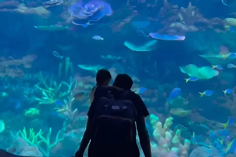 BX Sea Oceanarium bisa jadi pilihan tempat liburan bareng keluarga (Foto: Gorajuara/ Tangkap layar Instagram @syifarahmalia24)