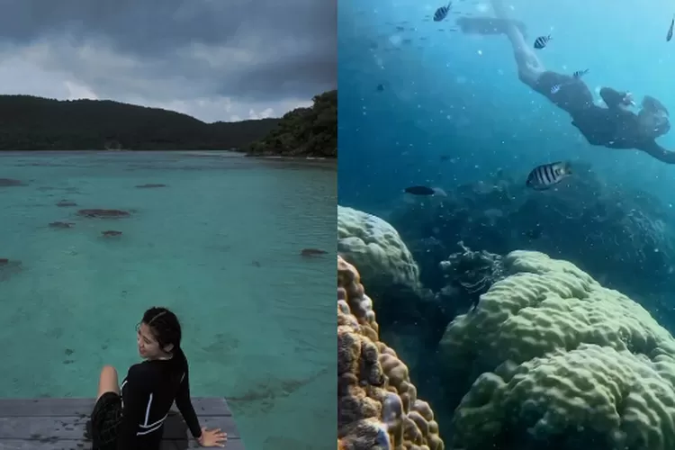 Snorkeling jadi salah satu rekomendasi aktivitas yang bisa dilakukan di Karimunjawa (Foto: Gorajuara/ Kolase tangkap layar Instagram @siyuca_sy dan @khaerudinm)