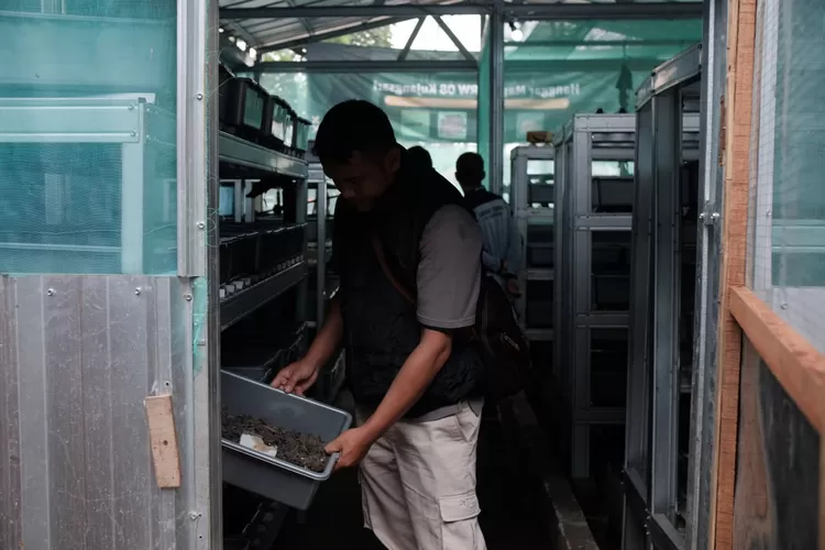 Kelurahan Rancabolang Mampu Olah Sampah Organik 2 Ton per Hari (Diskominfo Kota Bandung)