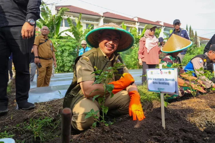 Kota Bandung Tanam Cabai dan Bawang Serentak di Seluruh Kecamatan (Diskominfo Kota Bandung)