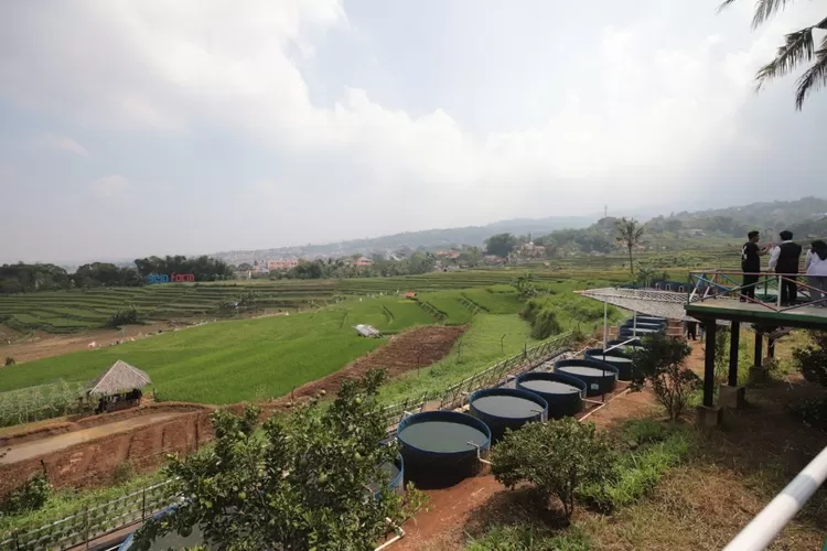Sein Farm Permata Bandung Festival, Membangun Ketahanan Pangan Kota Bandung (Humas Bandung / GoraJuara.com)
