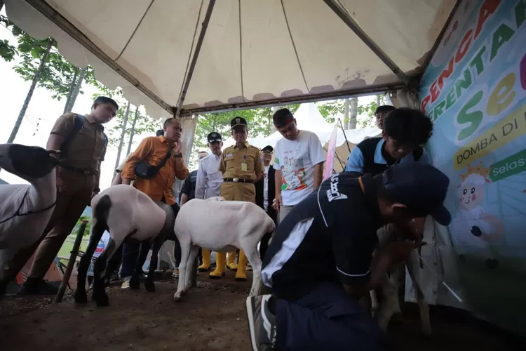 Penyembelihan Hewan Kurban di Kota Bandung Capai 13.701 Ekor: Meningkat 16,8% dari Tahun Lalu (Humas Bandung / GoraJuara.com)