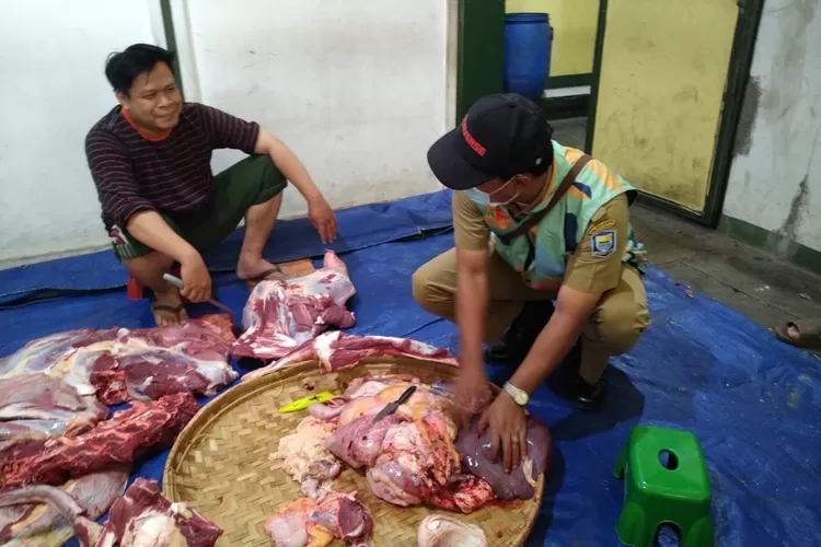 Cara aman dan nikmat mengolah daging kurban: tips kebersihan, sanitasi alat, memasak sempurna, dan penyimpanan foodgrade. Selamat Idul adha! (Humas Bandung / GoraJuara.com)