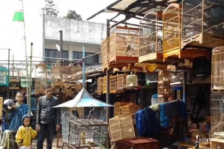 Pasar Burung Sukahaji Bandung, surga kicaumania dengan beragam burung dan perlengkapan. Kunjungi setiap hari pukul 08.00-17.00 WIB. (Humas Bandung / GoraJuara.com)