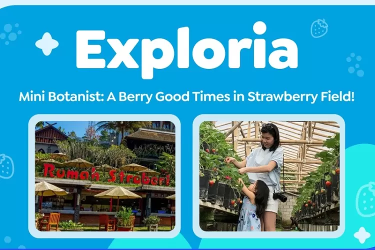Ikuti Mini Botanist di Rumah Stroberi! Belajar menanam &amp; petik stroberi sambil asah bahasa Inggris. Catat tanggalnya!
