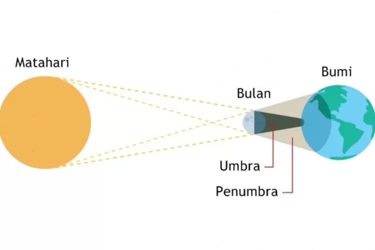 Belajar Berpikir Kritis Melalui Gerhana (GoraJuara.com/ sumber gambar tokopedia.com)