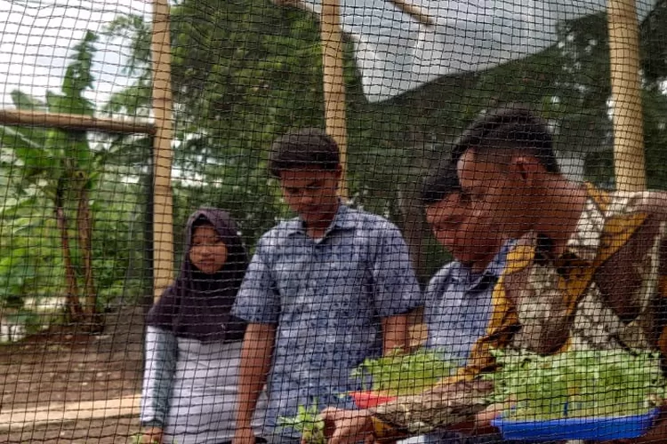 Proyek HIndroponik Berkelanjutan SMK SBI Cianjur (GoraJuara.com/dok AKSI)