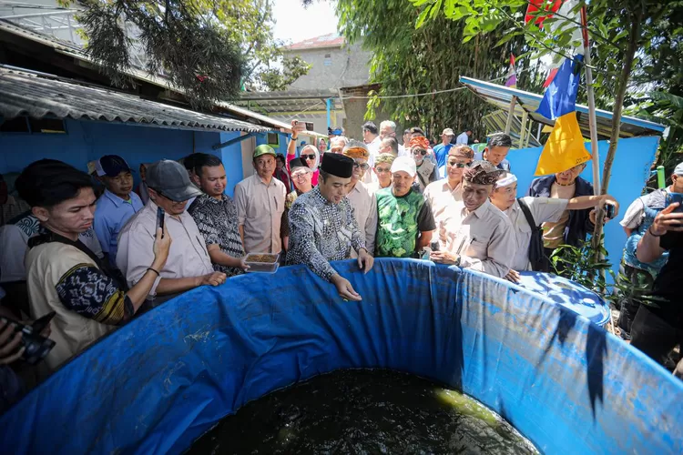 RW 14 Pasanggrahan Jadi Kawasan Bebas Sampah, Erwin Minta Para Ketua RW di Kota Bandung Ikuti Contoh Baik Ini (Diskominfo Kota Bandung)