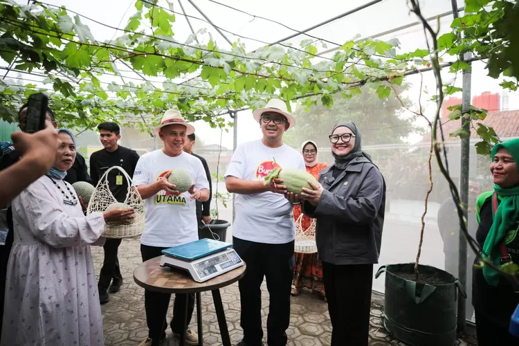 Wali Kota Bandung Berencana Kembangkan Kampung Wisata Melon Premium&nbsp; (Diskominfo Kota Bandung)