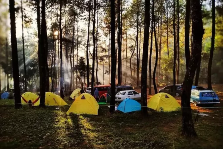 Bedengan Camping Ground Di Malang Yang Penuh Suguhan Alam Plus Plus Sinaran Id 8787