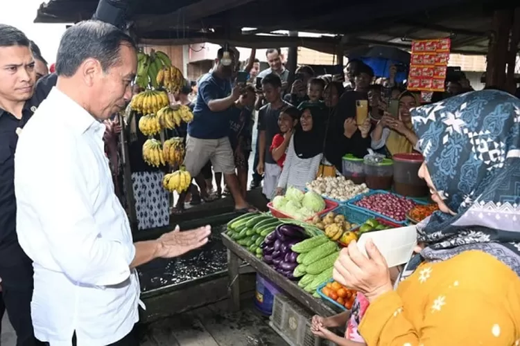 Presiden Joko Widodo mengecek harga di Pasar Pata, Kabupaten Katingan, Provinsi Kalimantan Tengah, pada Rabu, (26/06/24). Kunjungan ini merupakan bagian dari rangkaian inspeksi Presiden terhadap harga kebutuhan pokok di berbagai pasar di Kalimantan Tengah setelah sebelumnya meninjau pasar di Kabupat (Presiden RI)