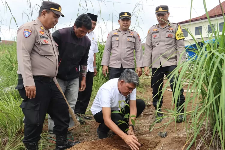 Tanam : KBO Sat Intelkam Polres Tapsel, Iptu Aswin Manurung, melakukan tanam bibit Pohon di lokasi barak Pengendalian Massa Komplek Mapolres Tapsel di Sipirok, Rabu (15/11/2023).   (Realitasonline/Riswandy)
