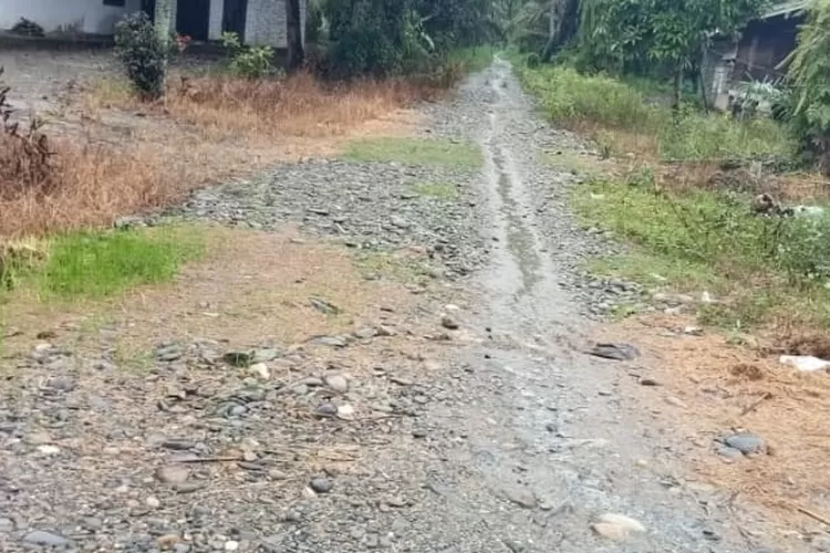 Proyek perkerasan jalan di dusun tani Desa Secanggang sepanjang 1000 m, menggunakan Anggara DD tahun 2023.   (Realitasonline.id/MA)