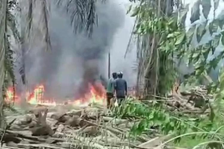 Gudang pengolahan minyak  Kondensat ilegal di dusun II kec. Gebang terbakar.   (Realitasonline.id/MA)