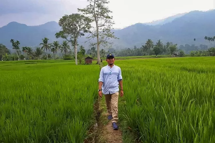 Plt Kepala Dinas PU Palas Amirhan Hasibuan ST MM (Realitasonline.id/dok)