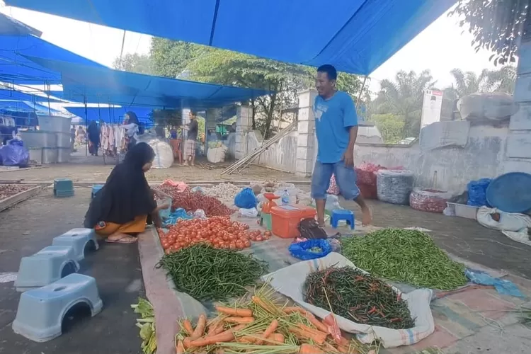 Pasar Tradisional Desa Petatal, dan Desa Karang Baru, Kecamatan Datuk Tanah Datar, Kabupaten Batubara. Pasar tersebut terlihat sepi. (Realitasonline/H.Guntur Sinaga)