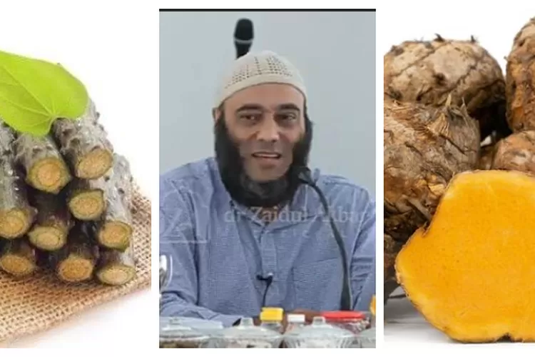 dr Zaidul Akbar Beberkan 2 Rimpang Bisa untuk Mengusir Jin dalam Tubuh  (Kolase Pinterest)