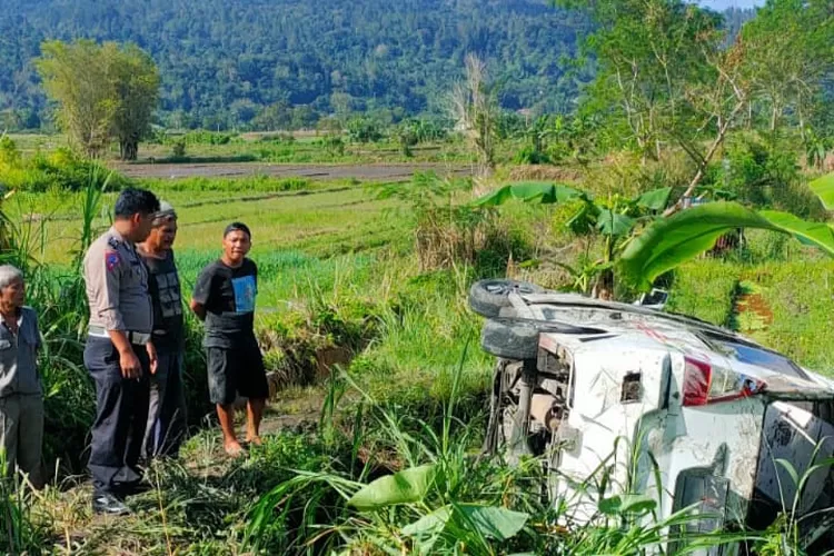 Mobil angkutan umum masuk sawah karena kecelakaan. (Realitasonline.id/MN)