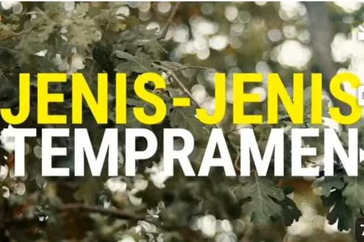 Kenali 4 Ciri  Berkepribadian Temperamen :  Yang Manakah 4 Dari Tipe  Anda. (Tangkapan Layar Google Sumber : Gold Deer)