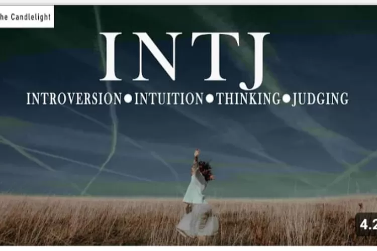 Inilah 5  Kelebihan dan 4 Kelemahan INTJ Yang Wajib Diketahui, Sikap Rasionalitas dan Kritis Masih Mendominasi. (Tangkapan Layar Google Sumber ; The Candlelight)