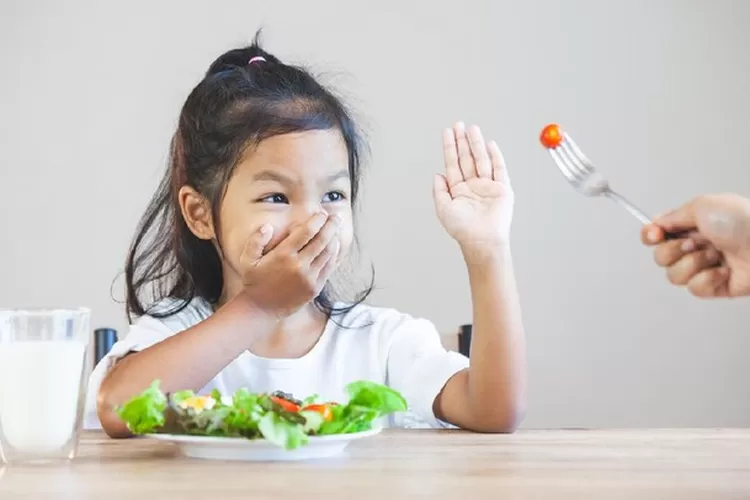 Ilustrasi Makan Sedikit Alias GTM (Hai Bunda)