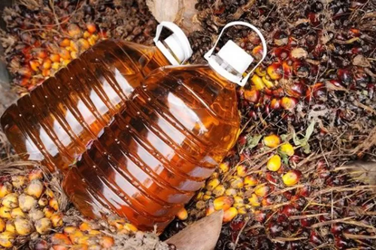 Harga CPO Naik 1,47% ke MYR 3.865 per ton Ditopang Momentum Puasa dan Lebaran