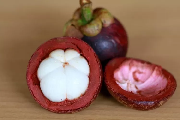 Ilustrasi buah manggis (Hai Bunda)