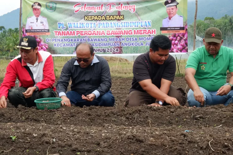 Pj Wali Kota Letnan Bersama Kelompok Tani Simangornop Laksanakan Tanam Bawang Merah