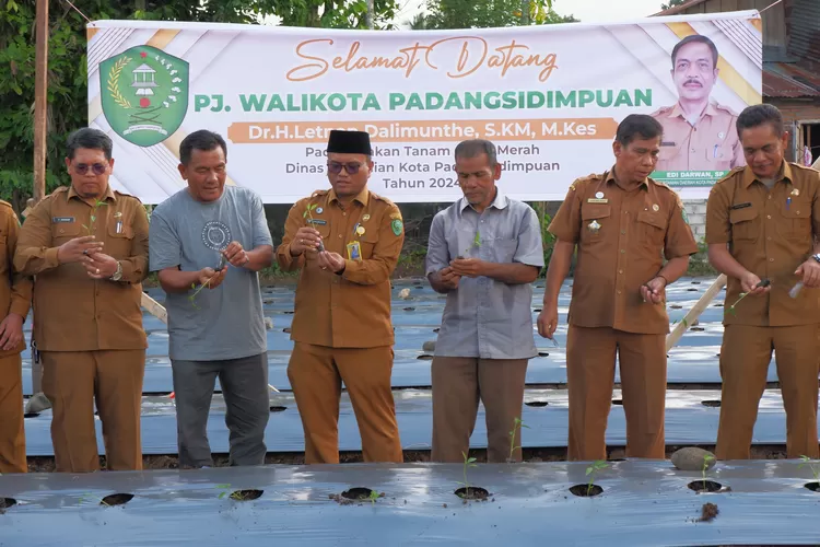 Pj Wali Kota Padangsidimpuan Letnan Dalimunthe mengikuti tanam cabai merah di di Kelurahan Hutaimbaru Kecamatan Padangsidimpuan Hutaimbaru, Kota Padangsidimpuan, kemarin.(Realitasonline.id/ RI)