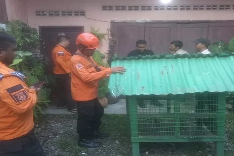 Petugas mengamankan monyet ke dalam kandang untuk dibawa ke Kantor BPBD Binjai selanjutnya akan diserahkan ke BKSDA (Realitasonline.id/Dok)