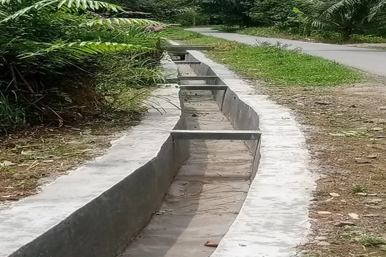 Proyek Lening Parit beton di dusun IV Desa Selemak kecamatan Wampu Kabupaten Langkat ( Realitasonline.id/MA)