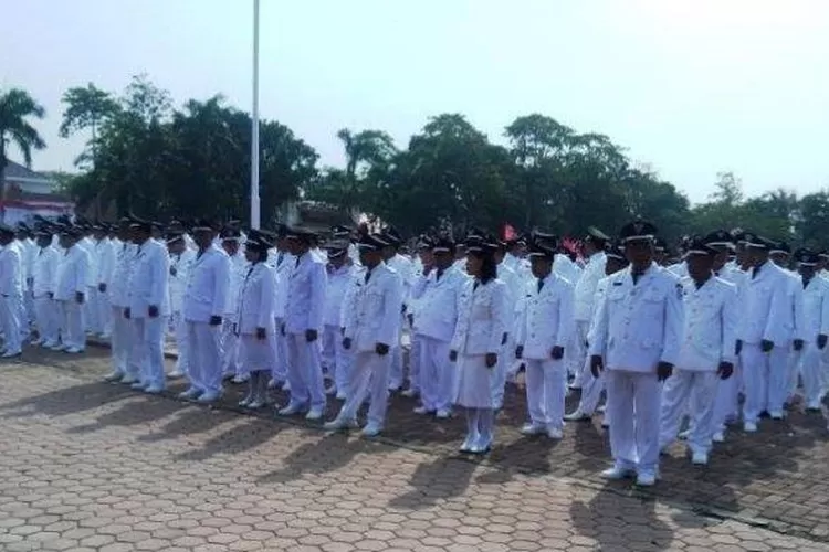 Para kades di Deli Serdang.