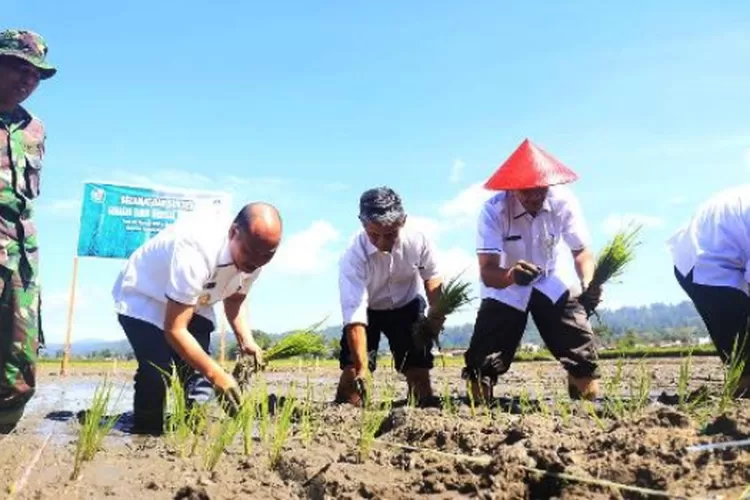"Lahan tak terpakai ini diperkirakan ratusan tahun seperti ini, tak bisa dimanfaatkan. Ada sekira 4,7 hektare kurang lebih," ungkapnya, saat berbincang dengan awak media, di Medan, Kamis (27/6) malam.