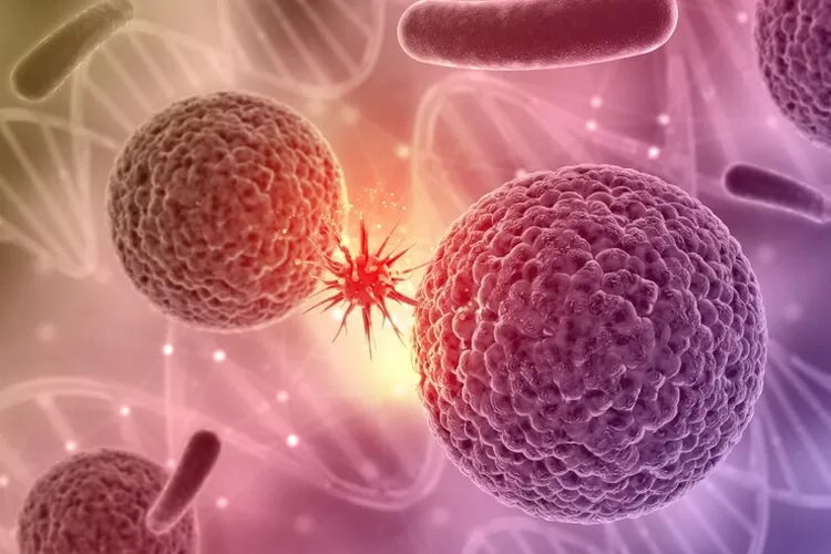 Meskipun penyebab pasti kanker masih belum diketahui secara pasti, namun ada beberapa kebiasaan yang dapat meningkatkan risiko terkena kanker. (Freepik)