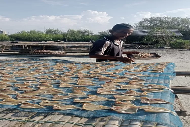 Pekerja dipenjemuran ikan asin milik Ahmad Ali di Kampung Taiwan Sergai. (Realitasonline.id/zul)
