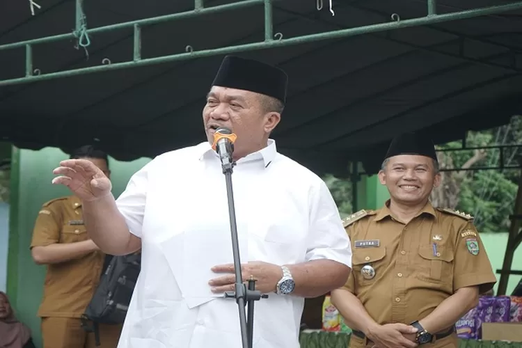 Wabub saat menyampaikan pidatonya didampingi camat air batu&nbsp; (Realitasonline.id/Dok)