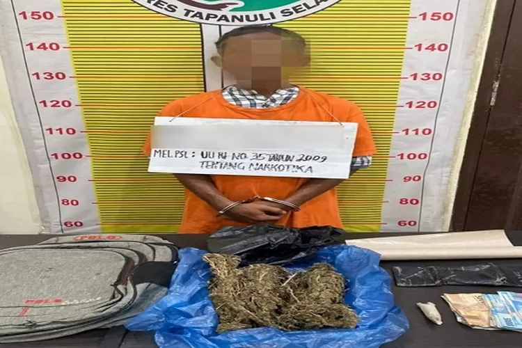 Tersangka J yang ditangkap personil Pokres Tapsel, atas kepemilikan 700 gram ganja ( Realitasonline.id/Riswandy)