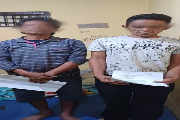 Dua pelaku pencurian kerbau dari Sipoholon ditangkap (Realitasonline.id/Dok)